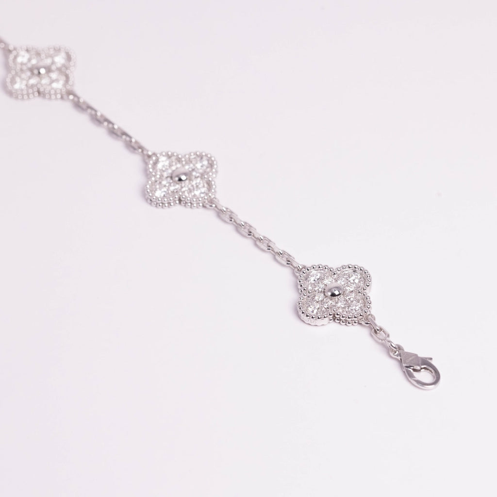 https://cdn.shopify.com/s/files/1/0679/7780/6117/files/3F0A0252.jpg?v=1765118058