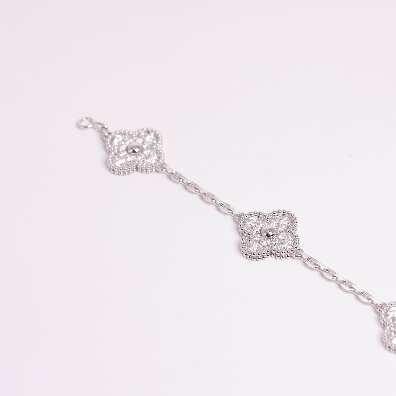 https://cdn.shopify.com/s/files/1/0679/7780/6117/files/3F0A0253.jpg?v=1765118058