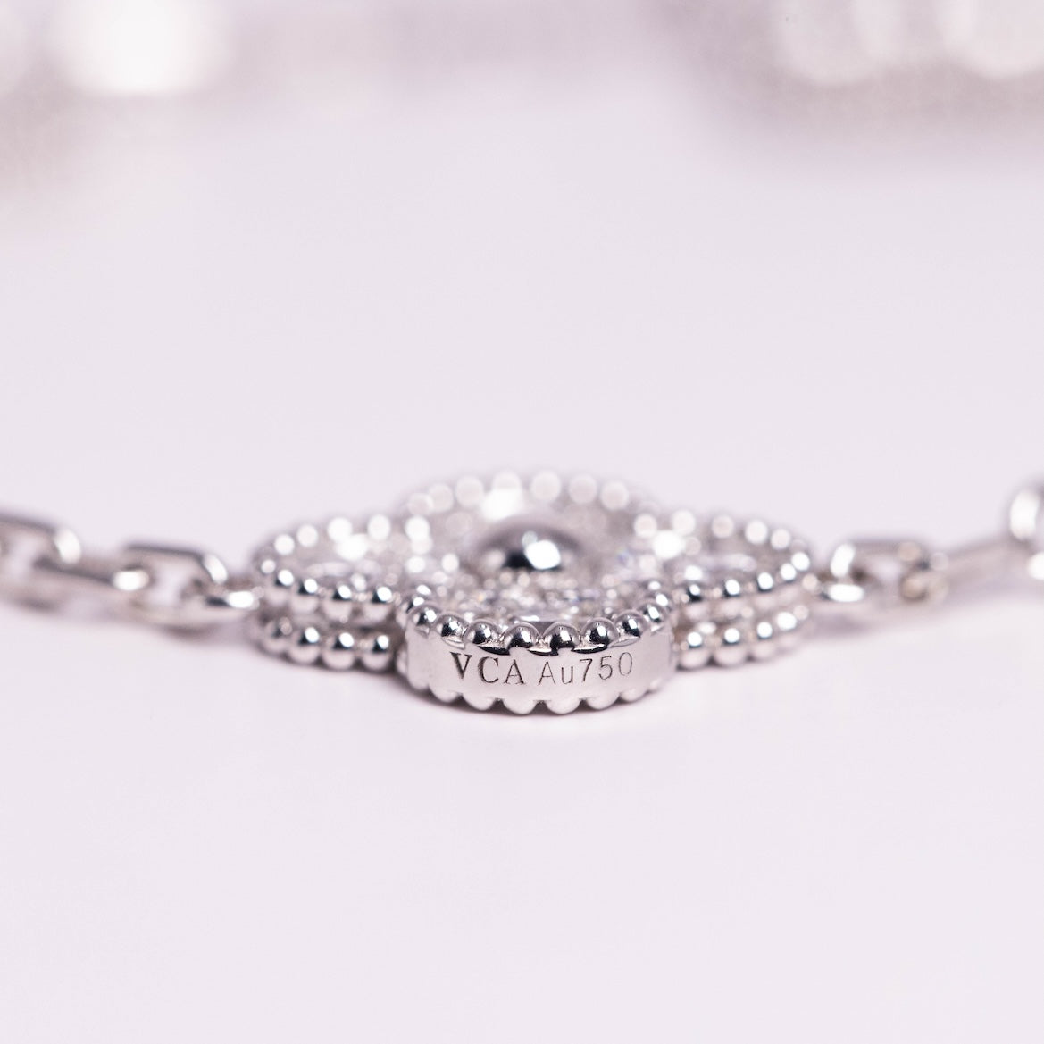 https://cdn.shopify.com/s/files/1/0679/7780/6117/files/3F0A0353.jpg?v=1765118058