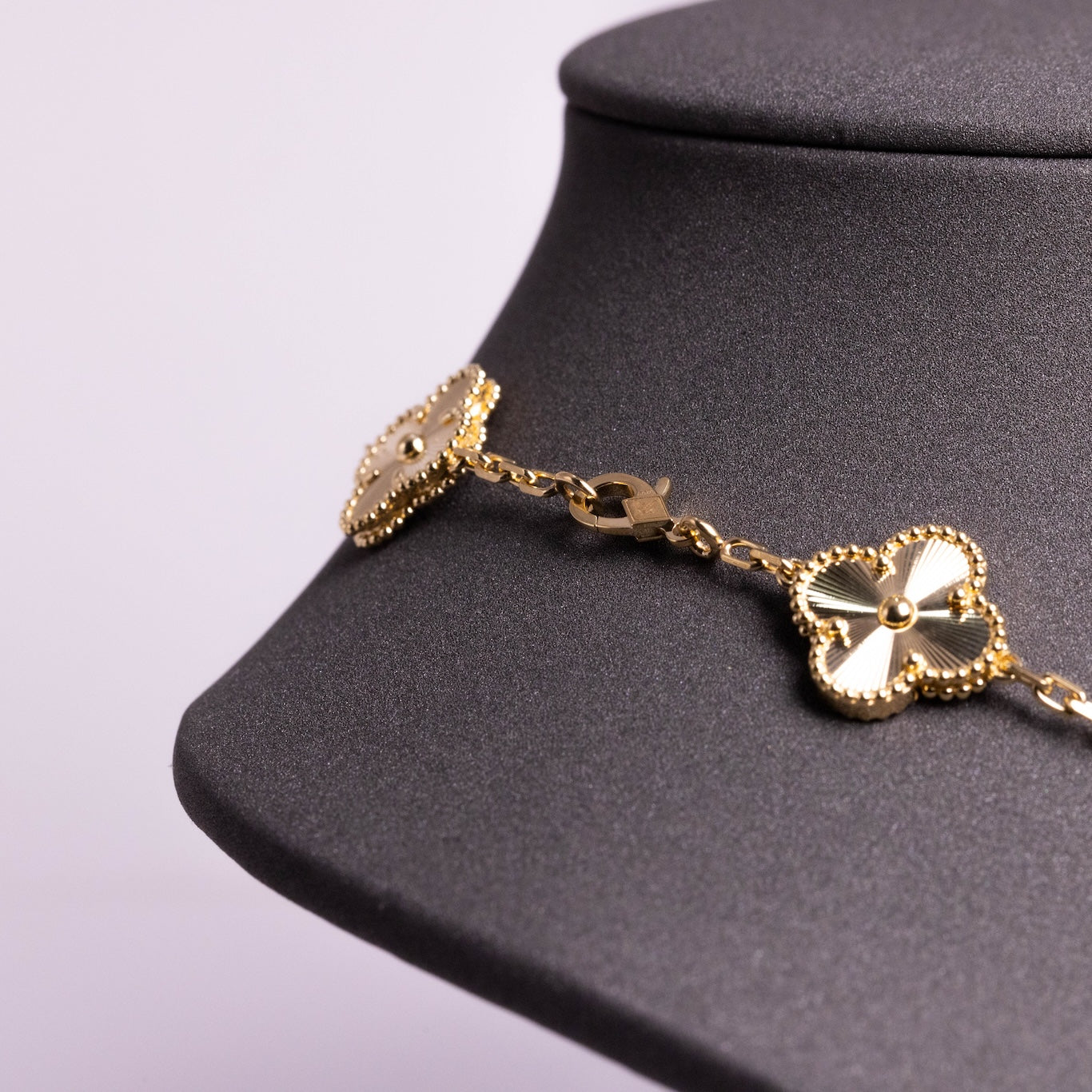 https://cdn.shopify.com/s/files/1/0679/7780/6117/files/3F0A0514.jpg?v=1765136969