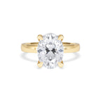 https://cdn.shopify.com/s/files/1/0706/7707/0101/files/LBSR106-300Y-001.jpg?v=1769637671