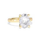 https://cdn.shopify.com/s/files/1/0706/7707/0101/files/LBSR106-300Y-004.jpg?v=1769637671