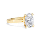https://cdn.shopify.com/s/files/1/0706/7707/0101/files/LBSR106-300Y-008.jpg?v=1769637671