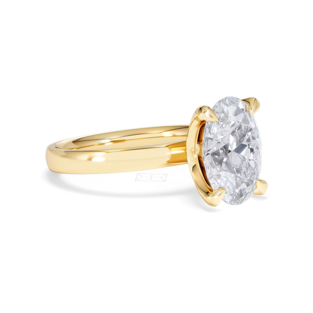 https://cdn.shopify.com/s/files/1/0706/7707/0101/files/LBSR106-300Y-010.jpg?v=1769637671