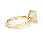 https://cdn.shopify.com/s/files/1/0706/7707/0101/files/LBSR106-300Y-028_580926af-f6d4-4d41-9db8-bad5bd77ef28.jpg?v=1769637672