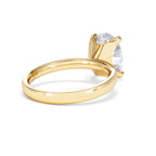 https://cdn.shopify.com/s/files/1/0706/7707/0101/files/LBSR106-300Y-033_da91fb57-4b30-4ea8-b83a-f2dacf81ddab.jpg?v=1769637770