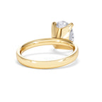 https://cdn.shopify.com/s/files/1/0706/7707/0101/files/LBSR106-300Y-036_6d791ad4-6c6e-462f-a274-2d338ea18e8d.jpg?v=1769637770
