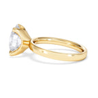 https://cdn.shopify.com/s/files/1/0706/7707/0101/files/LBSR106-300Y-059_4bd1a268-52e1-4566-96ea-4d10c521212e.jpg?v=1769637770
