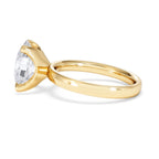 https://cdn.shopify.com/s/files/1/0706/7707/0101/files/LBSR106-300Y-060_d8df0aa4-3fba-407b-bcc9-071d6a4ce3d5.jpg?v=1769637770