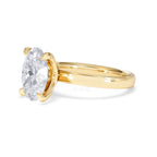 https://cdn.shopify.com/s/files/1/0706/7707/0101/files/LBSR106-300Y-070_0bc5c423-c841-42da-b474-0ce64268de79.jpg?v=1769637832