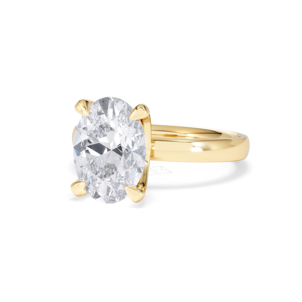 https://cdn.shopify.com/s/files/1/0706/7707/0101/files/LBSR106-300Y-076_34406d61-0075-498c-bdff-14b33378c03b.jpg?v=1769637832