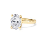 https://cdn.shopify.com/s/files/1/0706/7707/0101/files/LBSR106-300Y-076_34406d61-0075-498c-bdff-14b33378c03b.jpg?v=1769637832