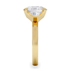 https://cdn.shopify.com/s/files/1/0706/7707/0101/files/LBSR106-300Y-d2.jpg?v=1769637671