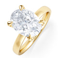 https://cdn.shopify.com/s/files/1/0706/7707/0101/files/LBSR106-300Y-h.jpg?v=1769637671