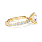 https://cdn.shopify.com/s/files/1/0706/7707/0101/files/LBSR107-200Y-022.jpg?v=1769638126