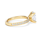 https://cdn.shopify.com/s/files/1/0706/7707/0101/files/LBSR107-200Y-024.jpg?v=1769638126