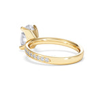 https://cdn.shopify.com/s/files/1/0706/7707/0101/files/LBSR107-200Y-050_8cfe8b30-bedc-4a35-925f-53c949890a86.jpg?v=1769638223