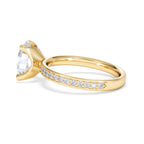https://cdn.shopify.com/s/files/1/0706/7707/0101/files/LBSR107-200Y-058_3633a5de-ad8c-4bf1-96a8-cab300460ad0.jpg?v=1769638223
