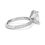https://cdn.shopify.com/s/files/1/0706/7707/0101/files/LBSR107-300W-027_938abed2-3cd6-4ab6-820f-1d56ed270cae.jpg?v=1769639671