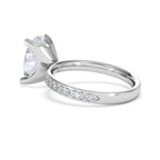 https://cdn.shopify.com/s/files/1/0706/7707/0101/files/LBSR107-300W-053_91c0f8f7-64bf-49b8-9d76-2cef03952eaf.jpg?v=1769639768