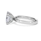 https://cdn.shopify.com/s/files/1/0706/7707/0101/files/LBSR110-300W-062_a364d8ff-9d3c-431c-8149-9f2b9326b151.jpg?v=1769647084