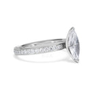 https://cdn.shopify.com/s/files/1/0706/7707/0101/files/LBSR113-100W-012_39e81f37-4f28-4c8a-a1e3-d1f09c379942.jpg?v=1769648530