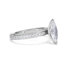 https://cdn.shopify.com/s/files/1/0706/7707/0101/files/LBSR113-100W-013_4965eb3f-a9ea-4d26-a27e-29d4007298cb.jpg?v=1769648530