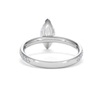 https://cdn.shopify.com/s/files/1/0706/7707/0101/files/LBSR113-100W-042_fd2f724f-5b2a-46b9-bdcf-2426a24a0773.jpg?v=1769648631