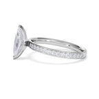 https://cdn.shopify.com/s/files/1/0706/7707/0101/files/LBSR113-100W-064_c221e892-ec71-4079-b065-dc947708408b.jpg?v=1769648694