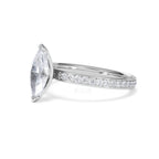 https://cdn.shopify.com/s/files/1/0706/7707/0101/files/LBSR113-100W-070_325a7d46-c12f-4bea-b3da-d23f999d796d.jpg?v=1769648694