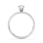 https://cdn.shopify.com/s/files/1/0706/7707/0101/files/LBSR113-100W-d1_772aaa49-ed45-4a1d-84ca-4a58475a3e79.jpg?v=1769648530
