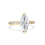 https://cdn.shopify.com/s/files/1/0706/7707/0101/files/LBSR113-200Y-003.jpg?v=1769650082