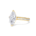 https://cdn.shopify.com/s/files/1/0706/7707/0101/files/LBSR113-200Y-075_4f5e3899-054b-4679-b653-7f3c90d13ef1.jpg?v=1769650239