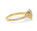 https://cdn.shopify.com/s/files/1/0706/7707/0101/files/LBSR60-D100y-060_f20af330-c47b-49ef-92d2-45c3239ad6cf.jpg?v=1772642967