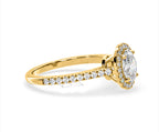https://cdn.shopify.com/s/files/1/0706/7707/0101/files/LBSR60-D100y-066_3ceacd7f-1939-4d15-b489-8b8b80b26fb1.jpg?v=1772642967