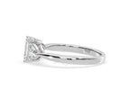 https://cdn.shopify.com/s/files/1/0706/7707/0101/files/LBSR65-D100w-021.jpg?v=1746656905