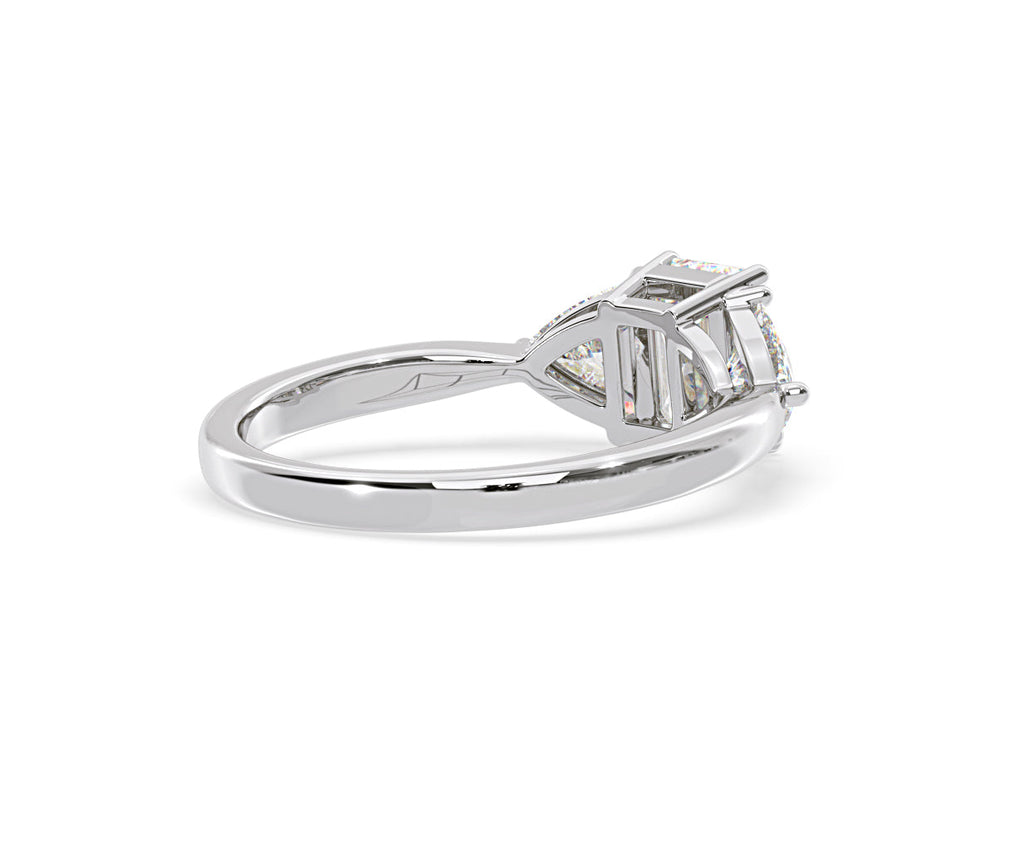 https://cdn.shopify.com/s/files/1/0706/7707/0101/files/LBSR65-D100w-050.jpg?v=1746656905