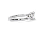 https://cdn.shopify.com/s/files/1/0706/7707/0101/files/LBSR65-D100w-058.jpg?v=1746656905