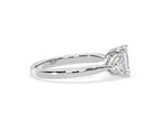 https://cdn.shopify.com/s/files/1/0706/7707/0101/files/LBSR65-D100w-061.jpg?v=1746656905