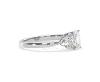 https://cdn.shopify.com/s/files/1/0706/7707/0101/files/LBSR65-D100w-066.jpg?v=1746656905