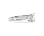 https://cdn.shopify.com/s/files/1/0706/7707/0101/files/LBSR65-D100w-067.jpg?v=1746656905