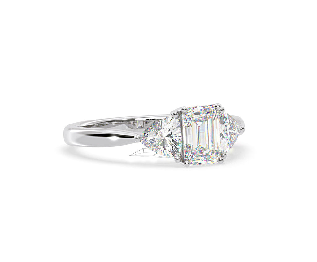 https://cdn.shopify.com/s/files/1/0706/7707/0101/files/LBSR65-D100w-074.jpg?v=1746656905