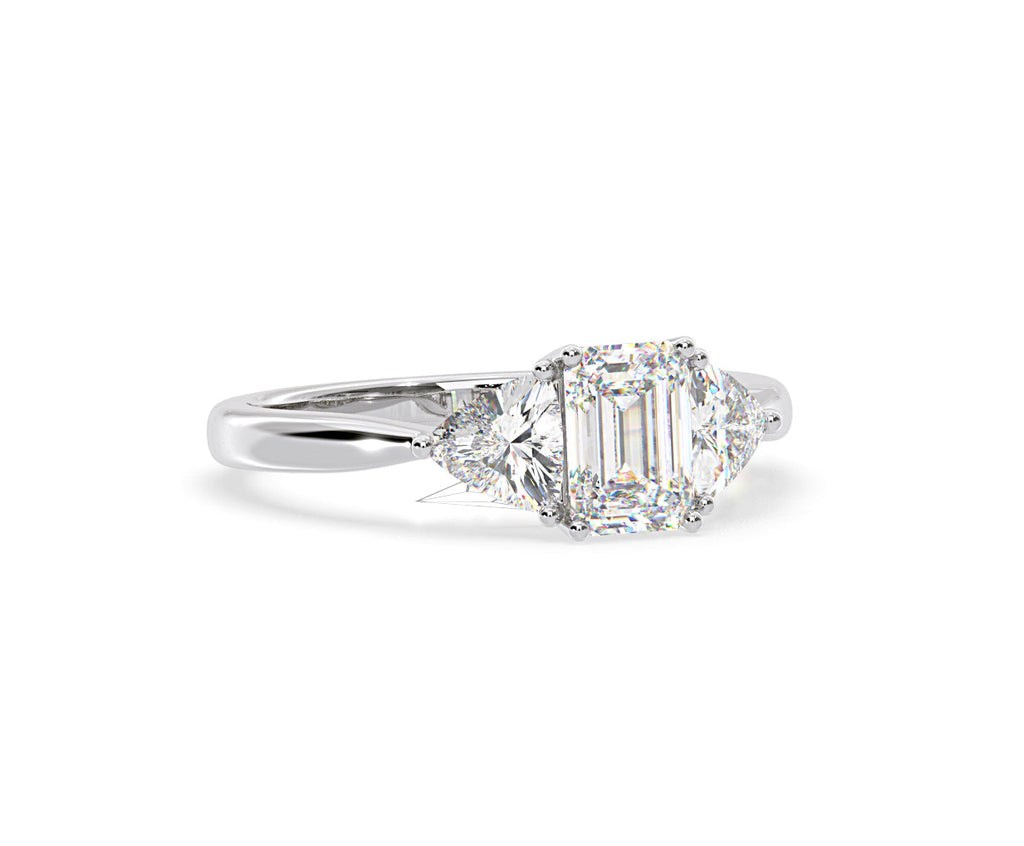 https://cdn.shopify.com/s/files/1/0706/7707/0101/files/LBSR65-D100w-075.jpg?v=1746656905