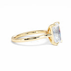 https://cdn.shopify.com/s/files/1/0706/7707/0101/files/LBSR69Y-300-016.jpg?v=1745145722