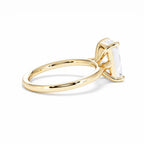 https://cdn.shopify.com/s/files/1/0706/7707/0101/files/LBSR69Y-300-026.jpg?v=1745145722