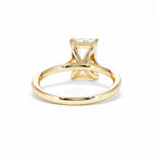 https://cdn.shopify.com/s/files/1/0706/7707/0101/files/LBSR69Y-300-039.jpg?v=1745145722