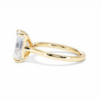 https://cdn.shopify.com/s/files/1/0706/7707/0101/files/LBSR69Y-300-063.jpg?v=1745145739