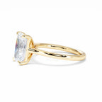 https://cdn.shopify.com/s/files/1/0706/7707/0101/files/LBSR69Y-300-066.jpg?v=1745145740