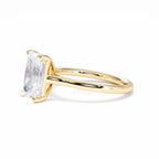 https://cdn.shopify.com/s/files/1/0706/7707/0101/files/LBSR69Y-300-067.jpg?v=1745145739