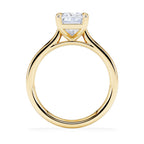 https://cdn.shopify.com/s/files/1/0706/7707/0101/files/LBSR69Y-300-d1.jpg?v=1745127773